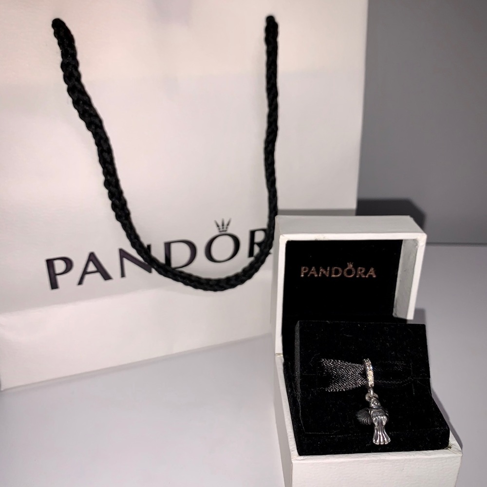 Pandora Charm